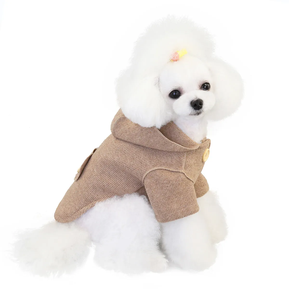 Small dog winter woolen coat fashionable pet clothing